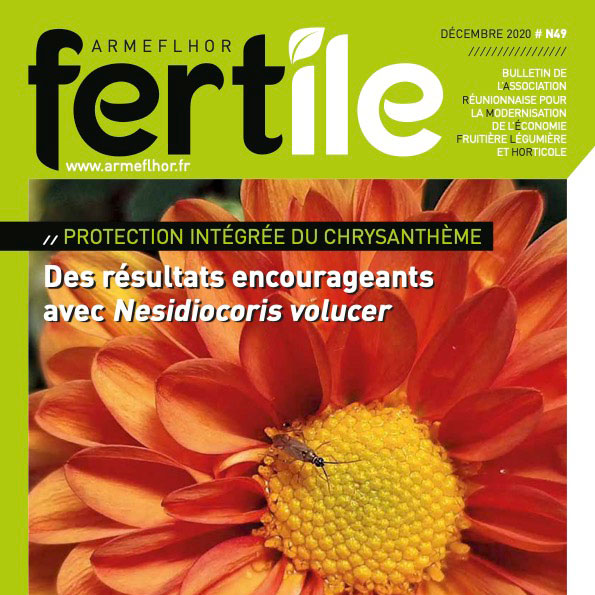 Fertile_49_sq