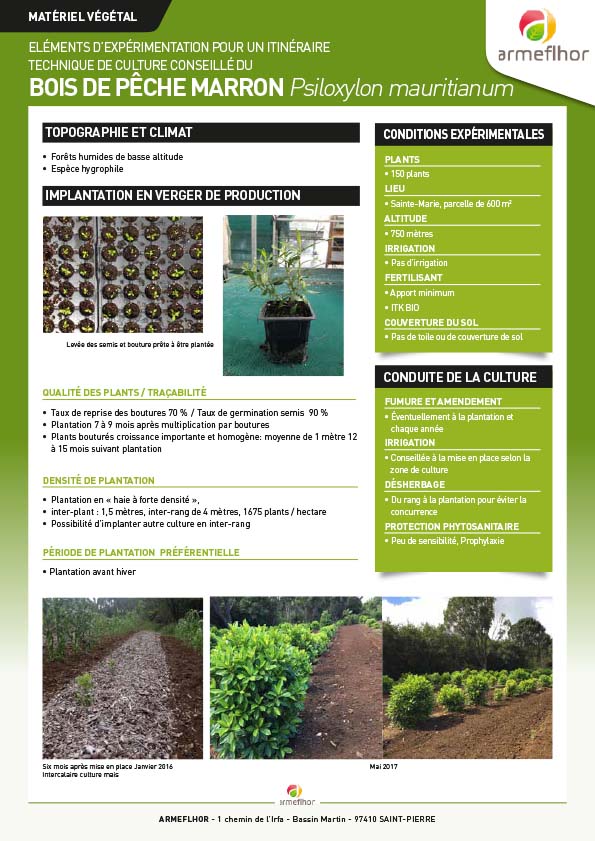 couv_FT BOIS PECHE MARRON ITK 2019 MAJ2021