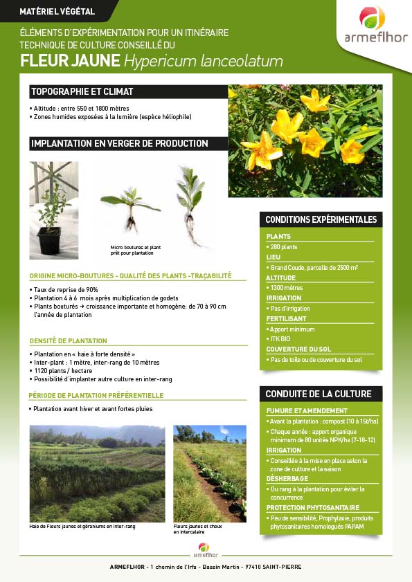 couv_FT Fleur jaune ITK MAJ2021