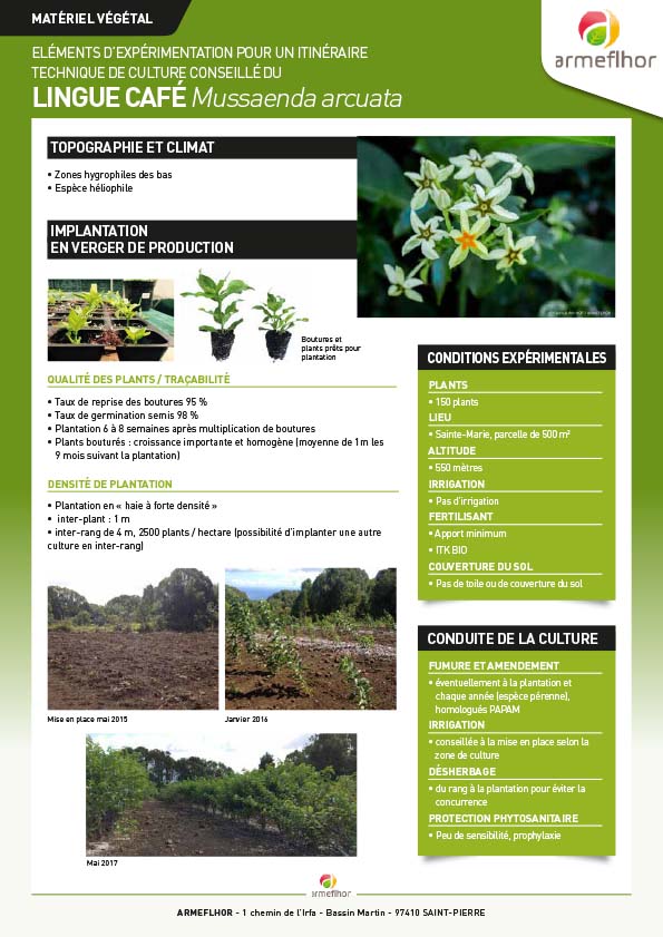couv_FT LINGUE CAFE ITK 2019-MAJ2021