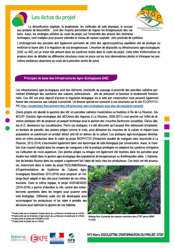 couv_Newsletter_3_STOP