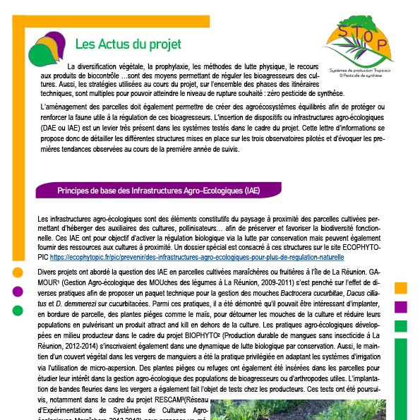 sq_Newsletter_3_STOP