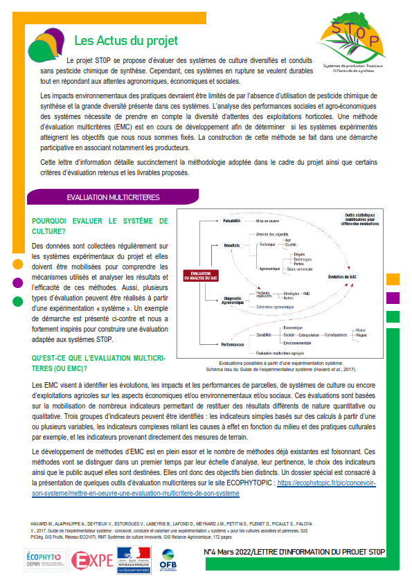 Newsletter 4 - Projet ST0P