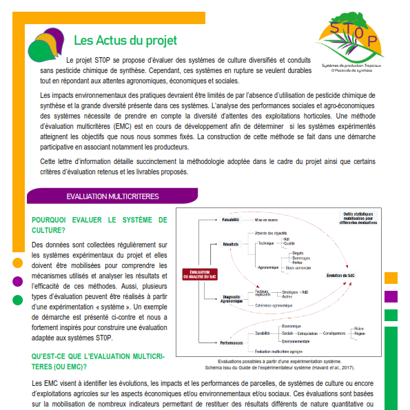 Newsletter 4 - Projet ST0P_web