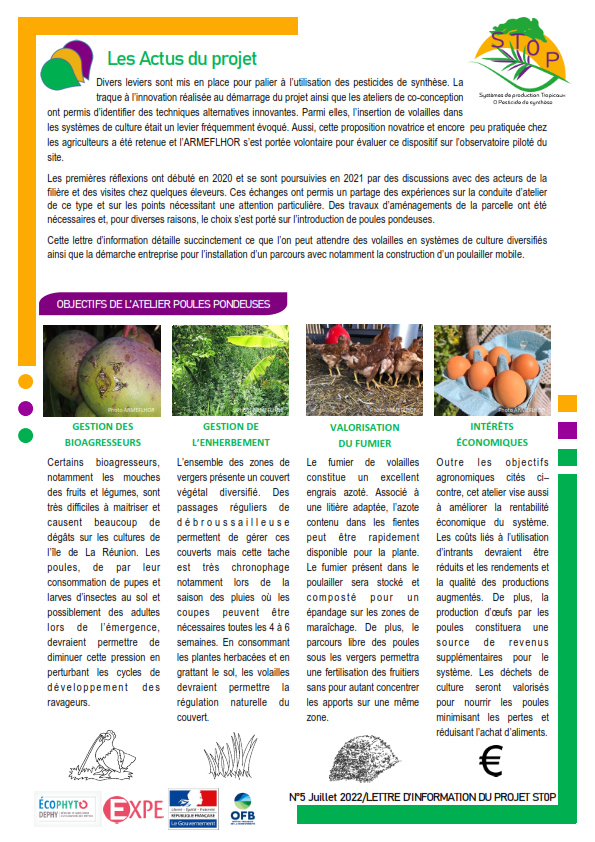 Newsletter 5 - Projet STOP_001