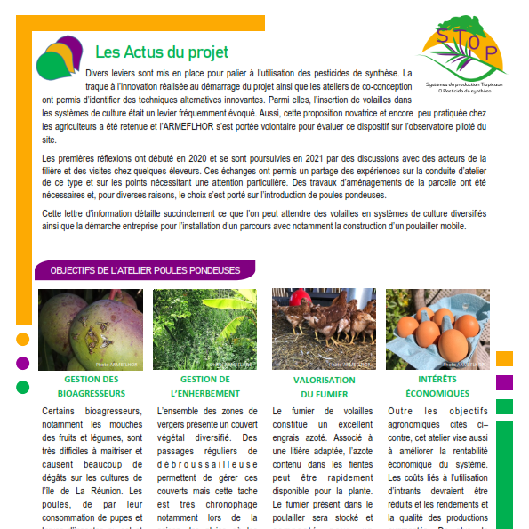 Newsletter 5 - Projet STOP_web