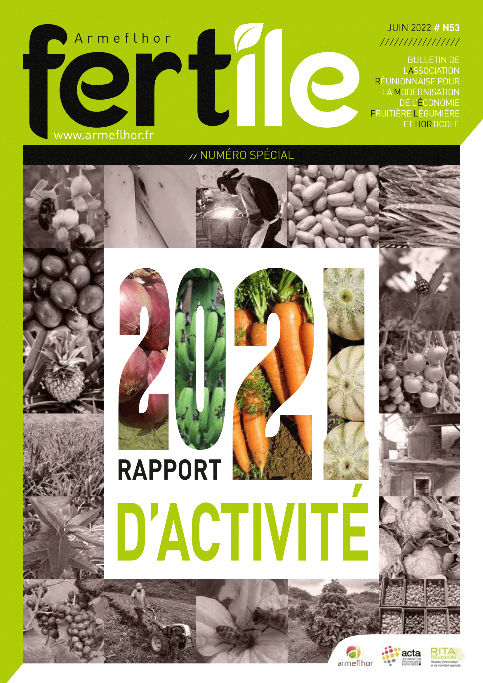 Fertile 53 couv-1