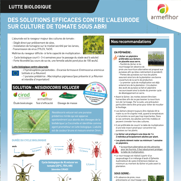 sq_POSTER nesidiocoris volucer 2017