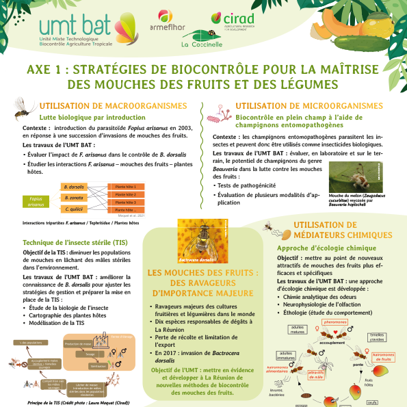sq_poster axe 1 umt bat 2022