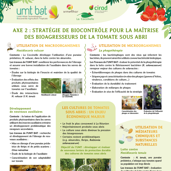 sq_poster axe 2 umt bat 2022