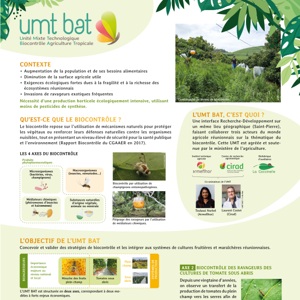 sq_poster general umt bat 2022
