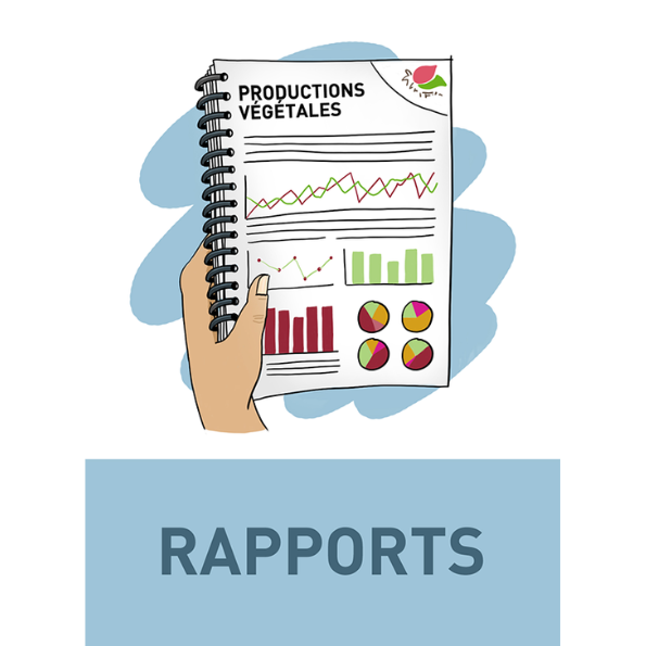 Rapport