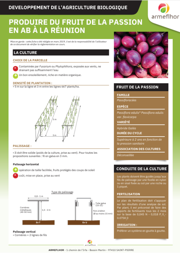 Image - Mise en avant site internet (1)