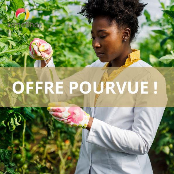 offre pourvue