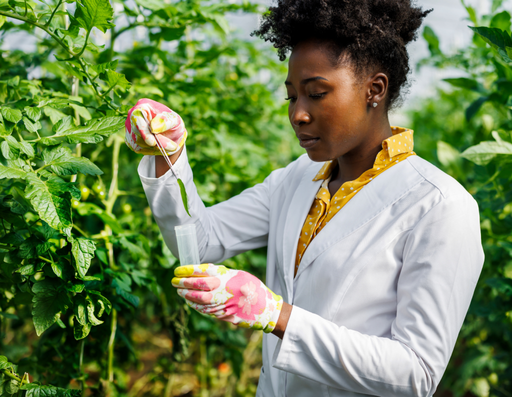 Notre futur(e) Technicien(ne) Agroforesterie