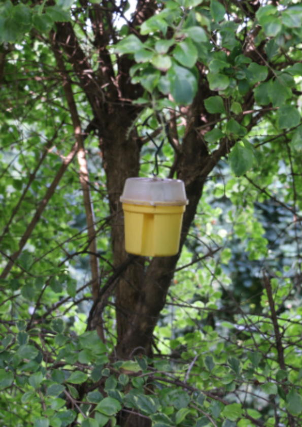 Biodiversité