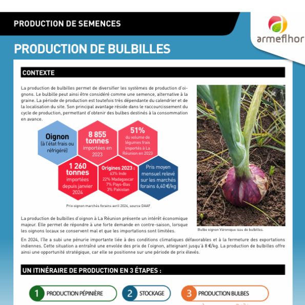 PRODUCTION DE BULBILLES