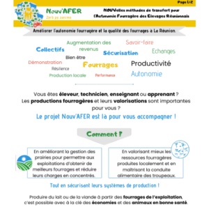 Aperçue fiche projet